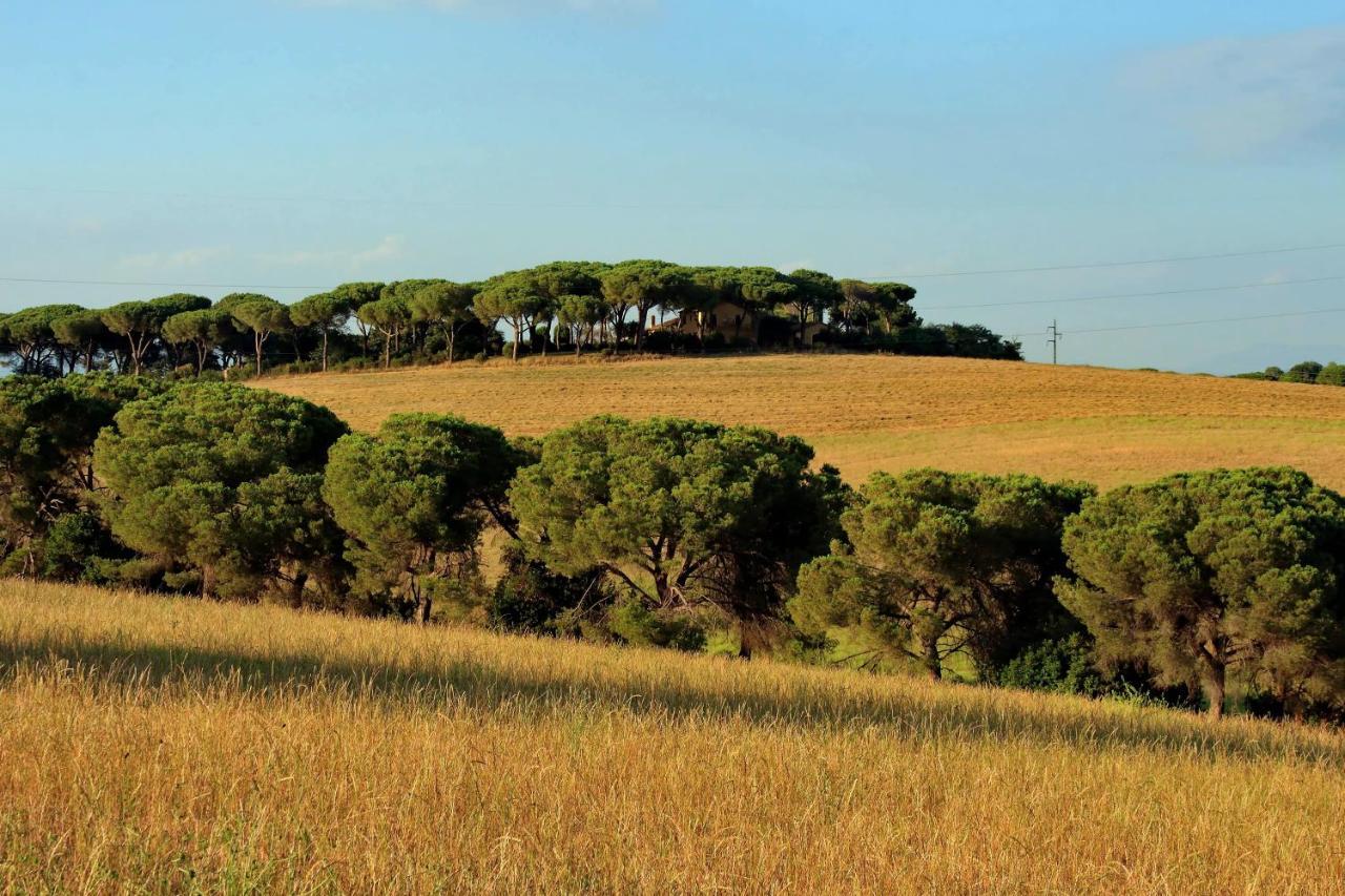 L'oasi Di Baal Villa Rom
